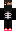 skin of a player