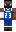 skin of a player