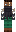 skin of a player