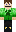 skin of a player