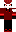 skin of a player