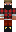 skin of a player