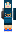 skin of a player