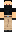 skin of a player