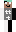 skin of a player