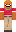 skin of a player
