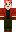 skin of a player