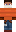 skin of a player