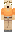 skin of a player