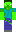 skin of a player