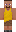 skin of a player