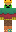 skin of a player