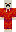 skin of a player