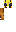 skin of a player