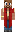 skin of a player