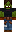 skin of a player