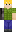 skin of a player