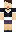 skin of a player