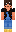 skin of a player