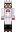 skin of a player