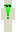 skin of a player