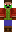 skin of a player