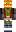skin of a player