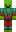 skin of a player