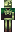skin of a player