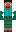 skin of a player