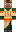 skin of a player