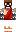 skin of a player