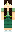 skin of a player