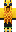 skin of a player