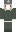 skin of a player