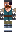 skin of a player