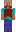 skin of a player