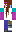 skin of a player