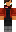 skin of a player