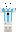 skin of a player