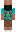skin of a player