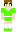 skin of a player