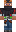 skin of a player