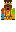 skin of a player