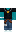 skin of a player