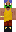 skin of a player