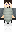 skin of a player