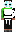 skin of a player
