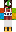 skin of a player