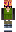 skin of a player